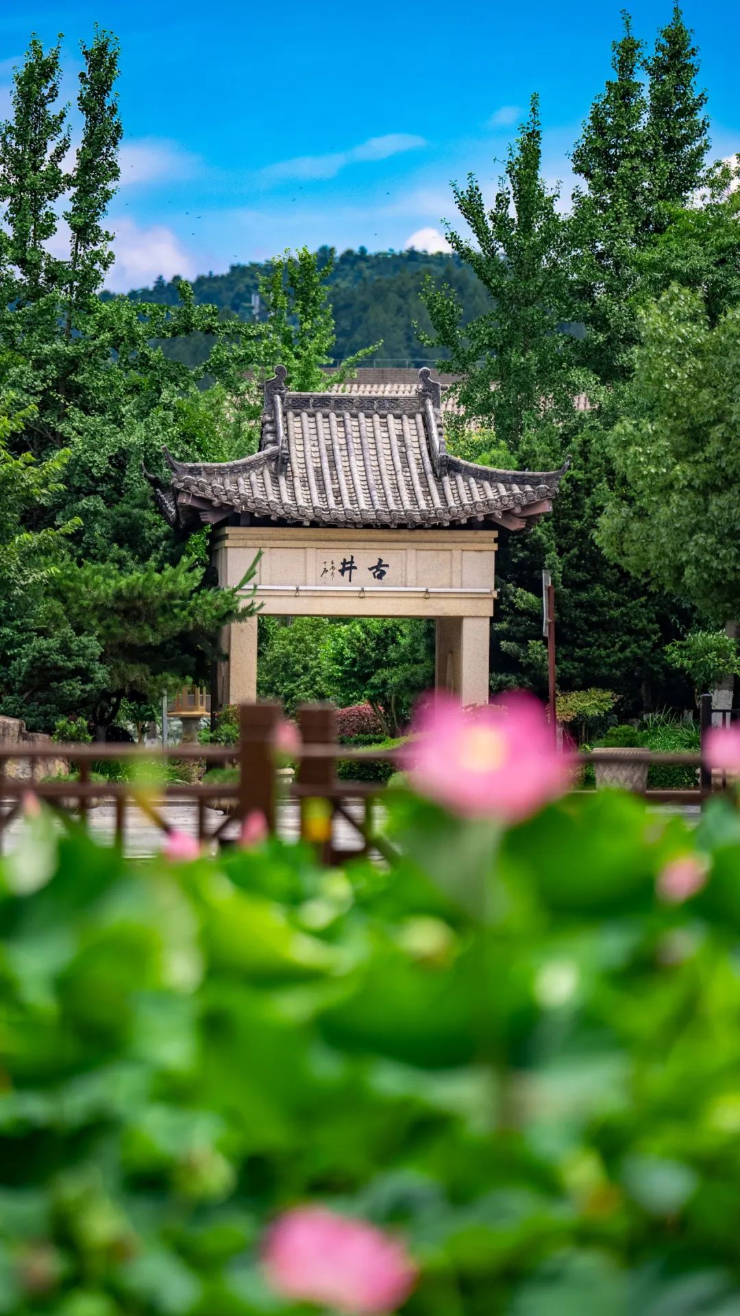 温汤富硒温泉(富硒温汤镇)-硒宝网