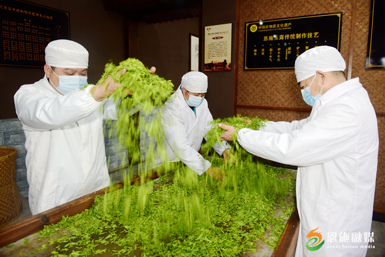 恩施玉露富硒茶的功效（恩施玉露富硒茶多少钱）-硒宝网