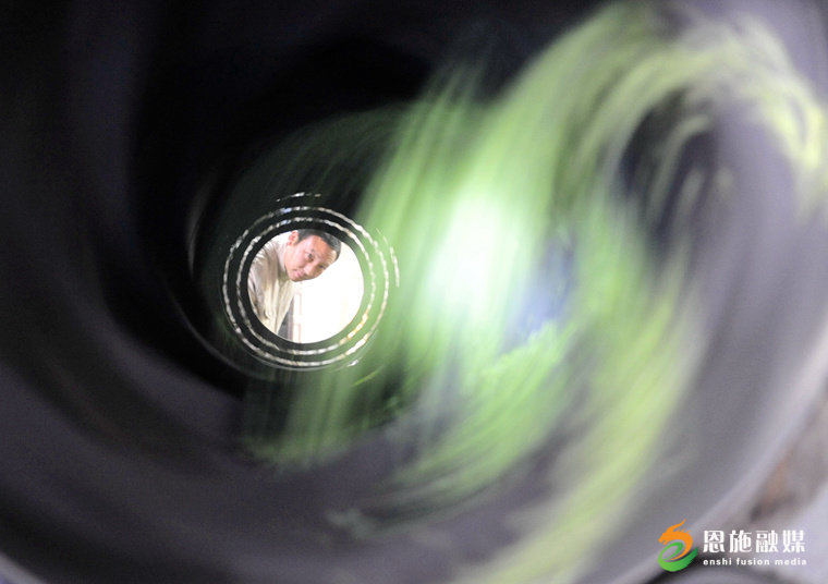 恩施玉露富硒茶的功效（恩施玉露富硒茶多少钱）-硒宝网