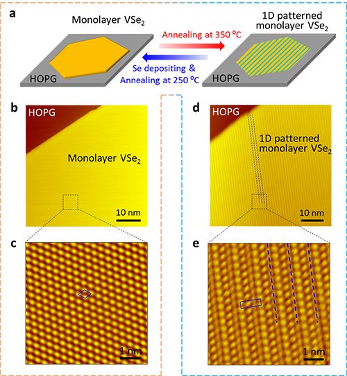 硒有什么功能(硒主要功能)-硒宝网