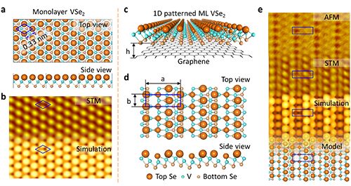 硒有什么功能(硒主要功能)-硒宝网