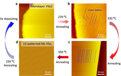 硒有什么功能(硒主要功能)-硒宝网