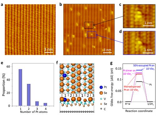 硒有什么功能(硒主要功能)-硒宝网