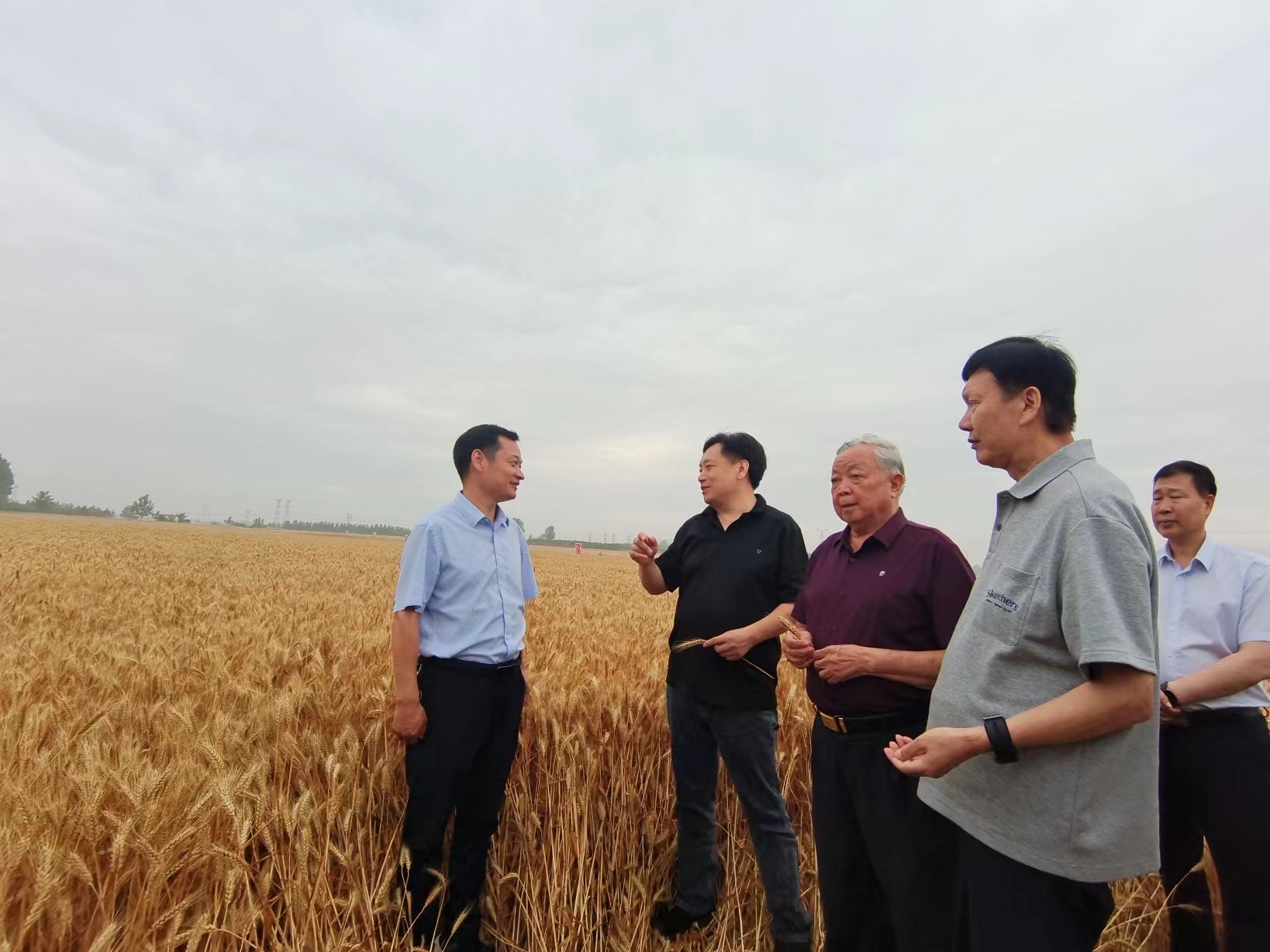 硒有什么功能(硒的十大功能是什么)-硒宝网