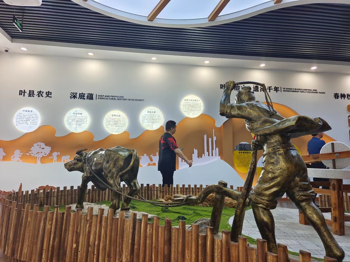 硒有什么功能(硒的十大功能是什么)-硒宝网