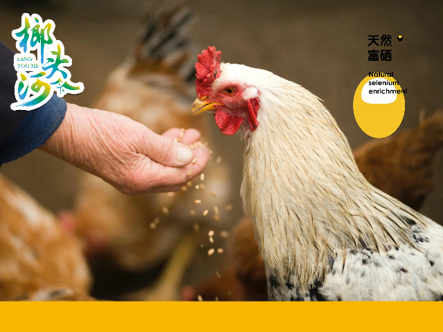 超市的富硒鸡蛋是真的吗(鸡蛋富硒是什么意思)-硒宝网