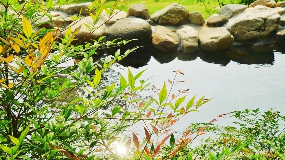 富硒泉矿泉水(富硒泉水作用)-硒宝网