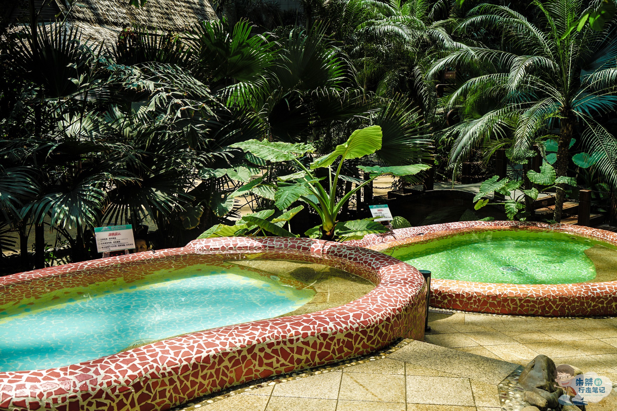 富硒泉矿泉水(富硒泉水作用)-硒宝网