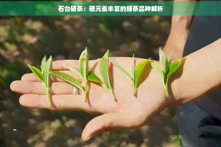 富硒绿茶价格(富硒绿茶的功效与作用)-硒宝网