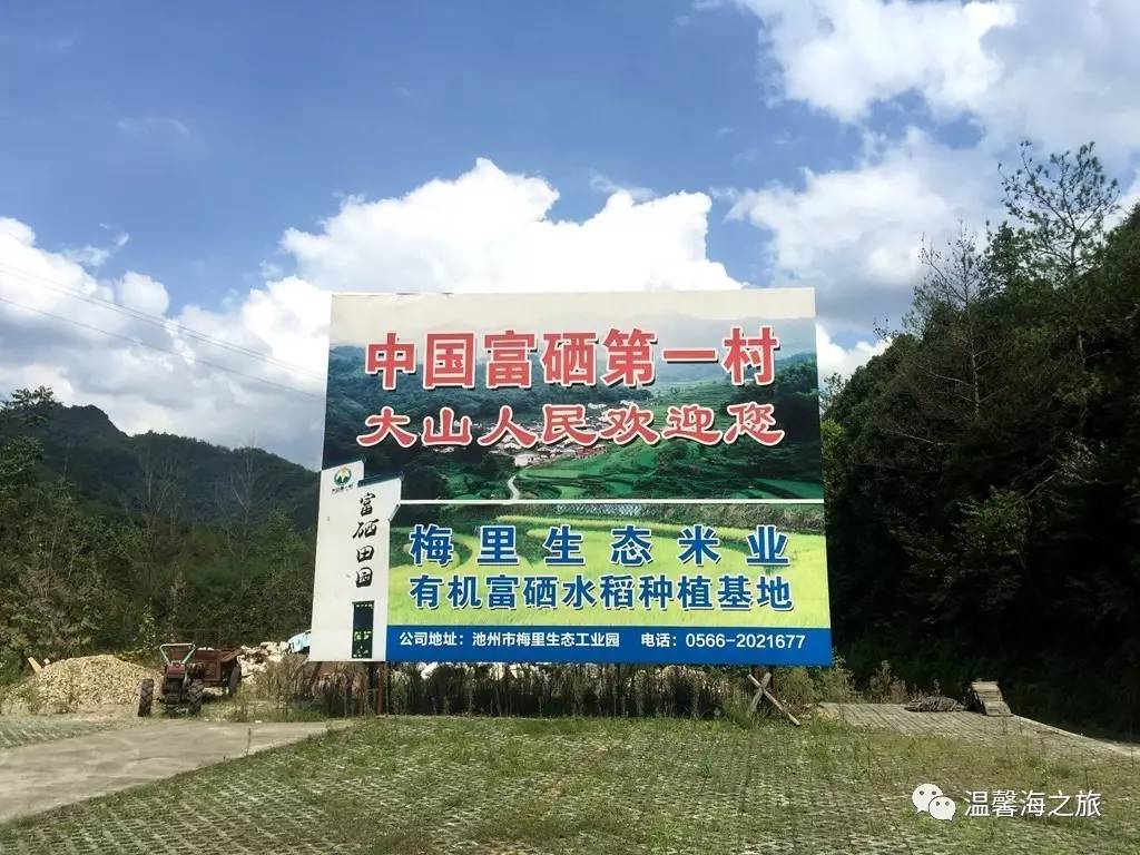 富硒第一村大山村(富硒村野山茶)-硒宝网