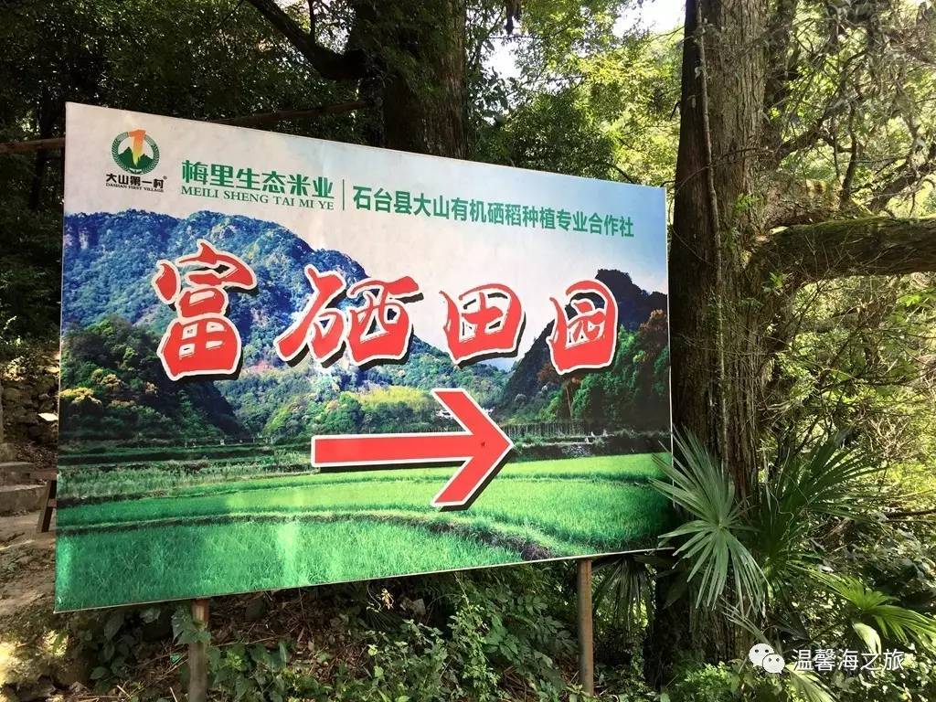 富硒第一村大山村(富硒村野山茶)-硒宝网