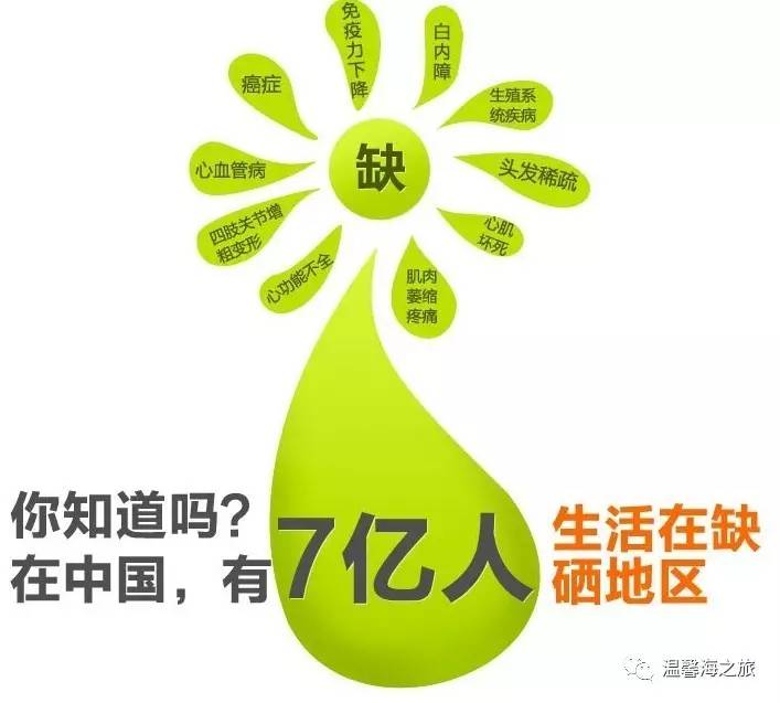 富硒第一村大山村(富硒村野山茶)-硒宝网