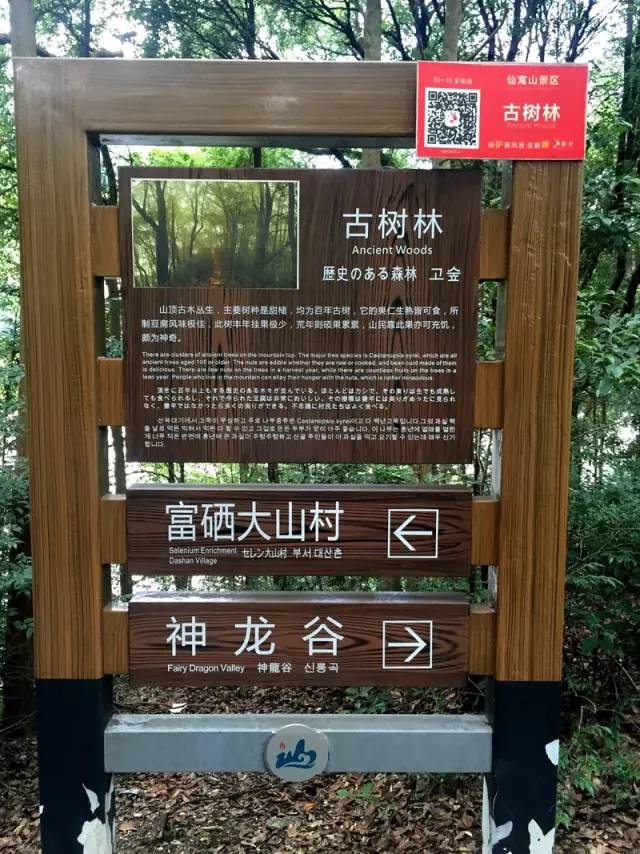 富硒第一村大山村(富硒村野山茶)-硒宝网