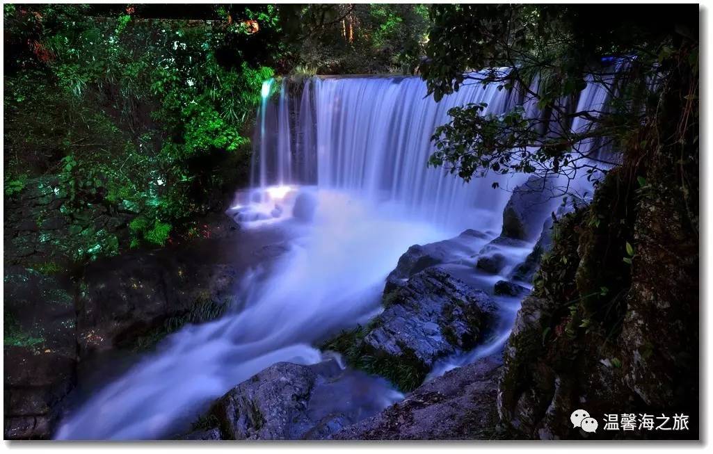 富硒第一村大山村(富硒村野山茶)-硒宝网