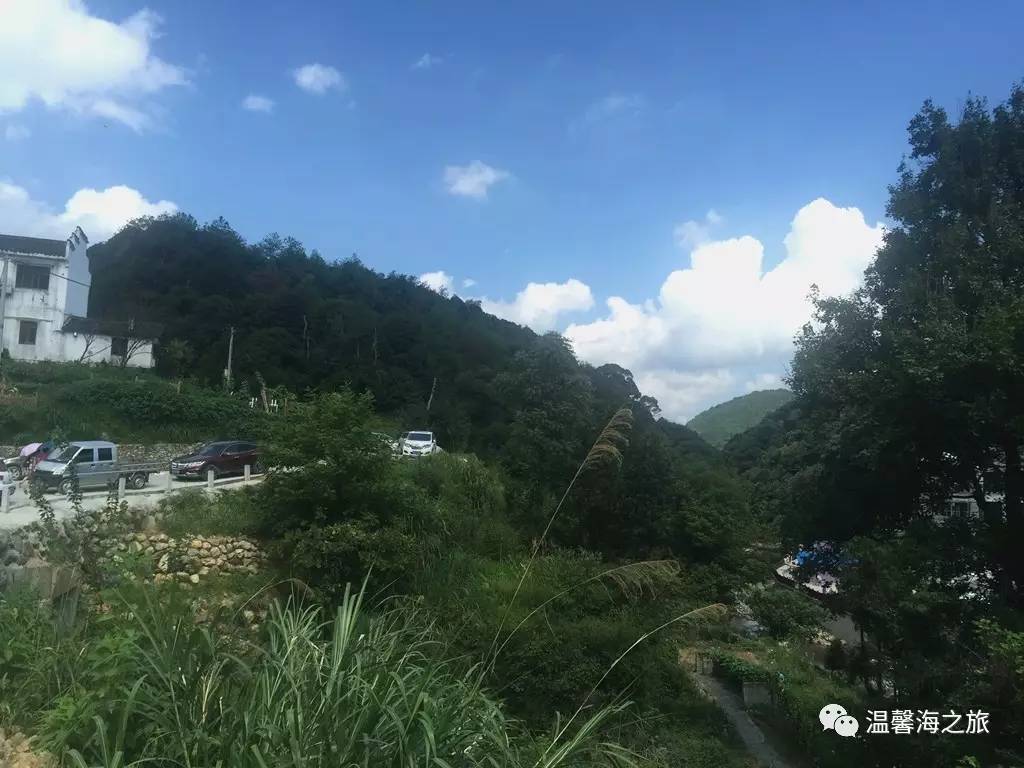 富硒第一村大山村(富硒村野山茶)-硒宝网