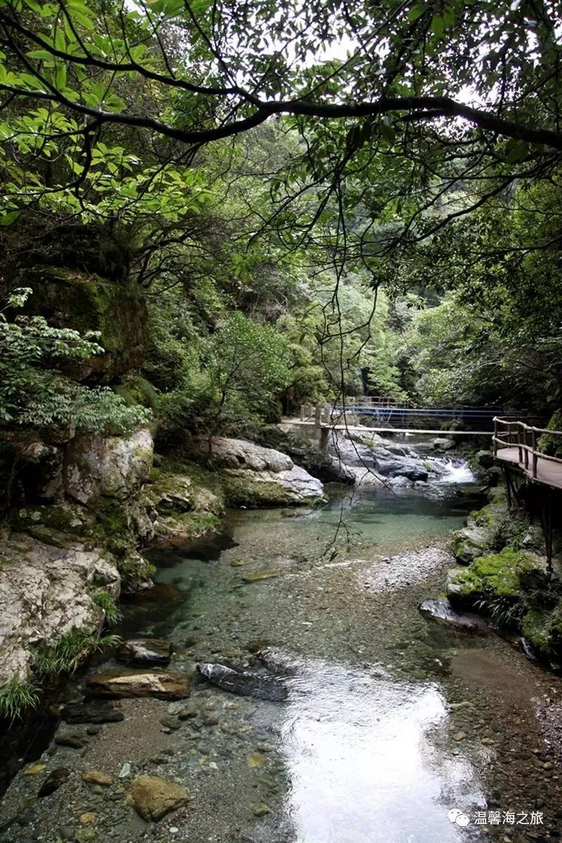 富硒第一村大山村(富硒村野山茶)-硒宝网