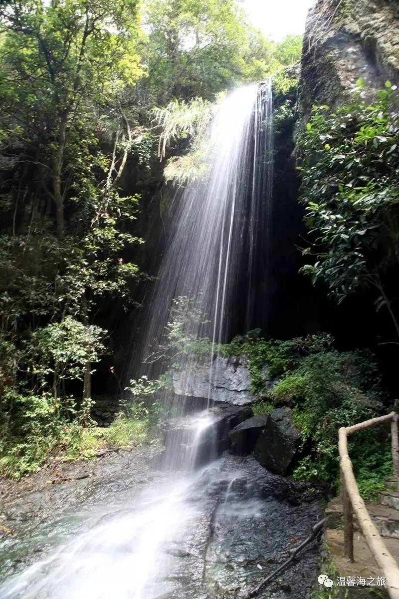 富硒第一村大山村(富硒村野山茶)-硒宝网