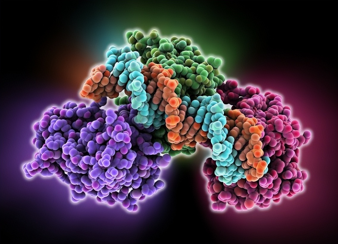 黑龙江缺硒地区(黑龙江富硒土地在哪儿)-硒宝网