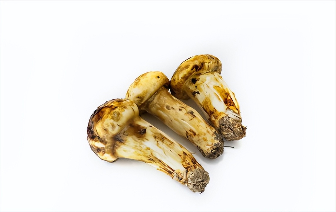 黑龙江缺硒地区(黑龙江富硒土地在哪儿)-硒宝网