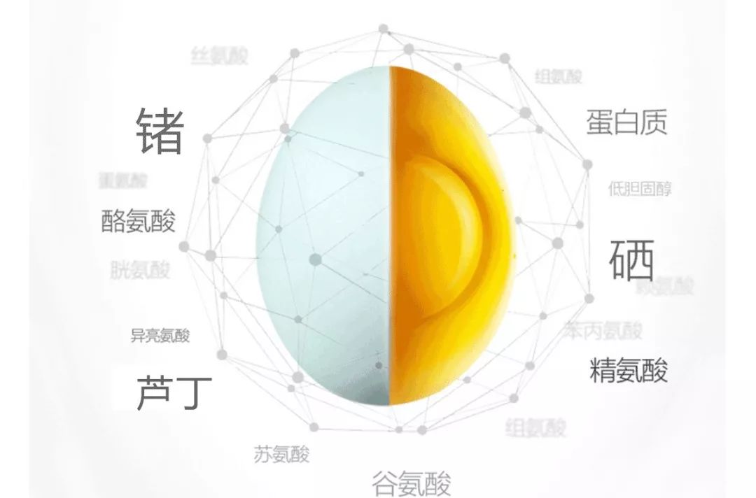 富硒鸡蛋营养价值（鸡蛋营养价值富硒多少）-硒宝网