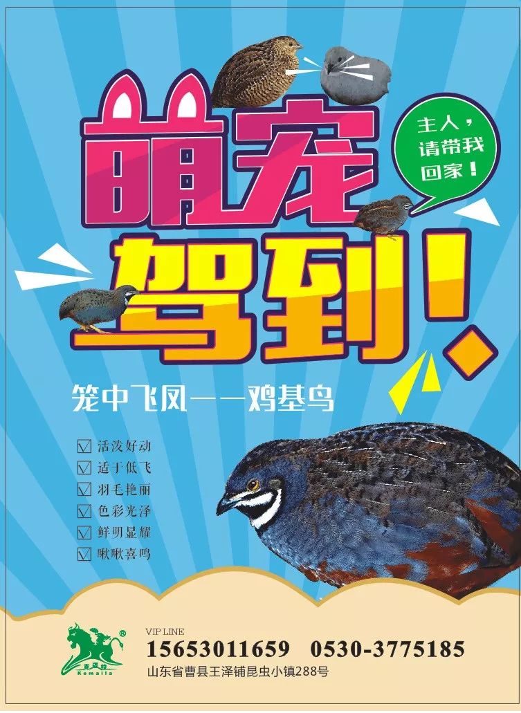 富硒鸡蛋营养价值（鸡蛋营养价值富硒多少）-硒宝网