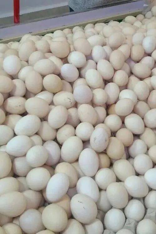 富硒鸡蛋营养价值（鸡蛋营养价值富硒多少）-硒宝网