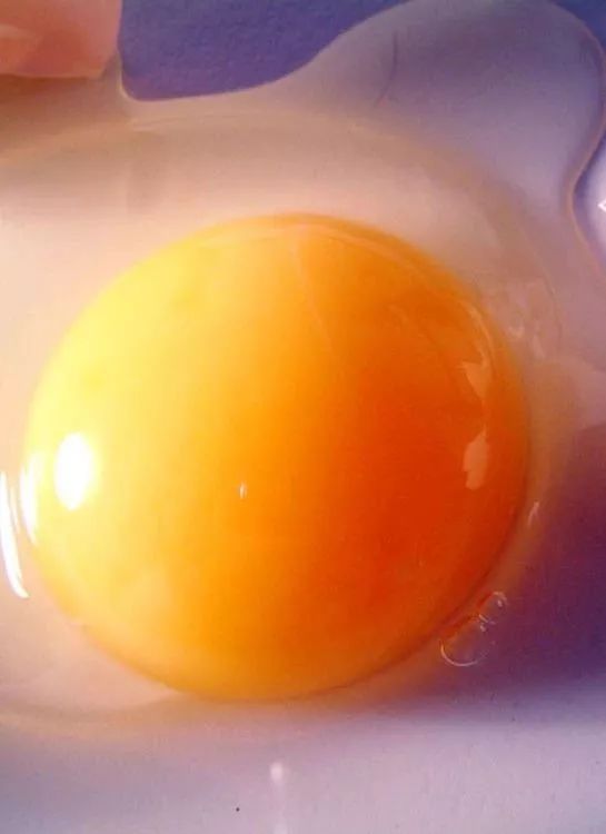 富硒鸡蛋营养价值（鸡蛋营养价值富硒多少）-硒宝网