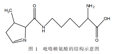 硒参与哪种酶的构成（硒与酶的关系）-硒宝网