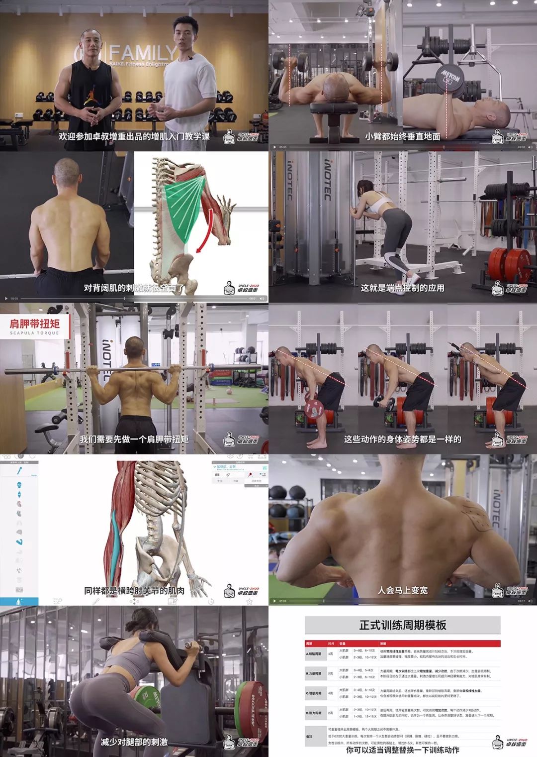 富硒鸡蛋每天能吃几个(富硒鸡蛋吃多了对身体有害吗)-硒宝网