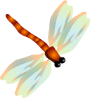 富硒鸡蛋每天能吃几个（富硒鸡蛋可以生吃吗）-硒宝网