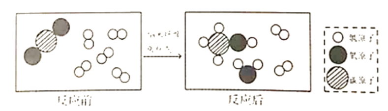 硒的五大分类(硒的五大分类)-硒宝网