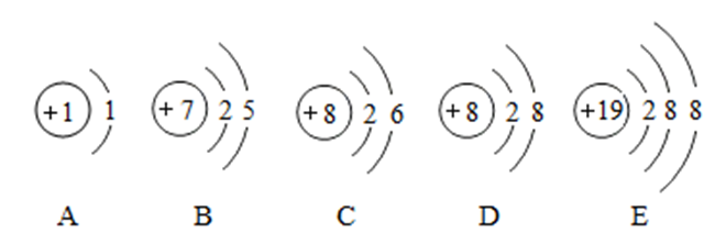 硒的五大分类(硒的五大分类)-硒宝网