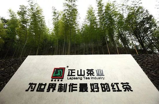 含硒第一名的茶（茶含硒元素吗）-硒宝网