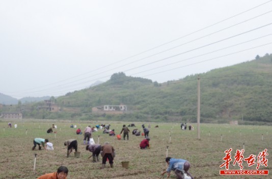 新田富硒之乡(新田富硒农产品公司)-硒宝网