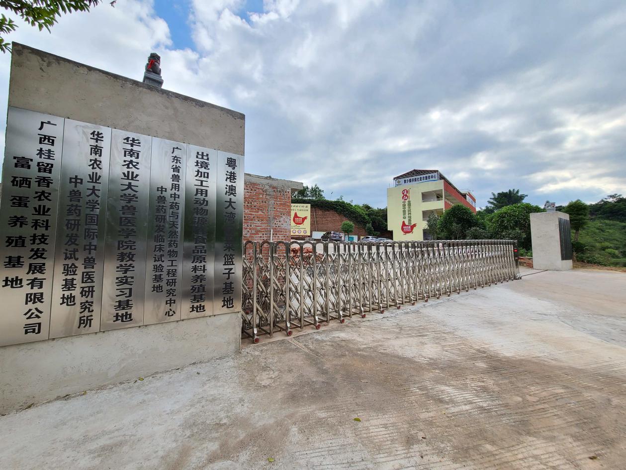 什么叫富硒蛋（富硒蛋好吃吗）-硒宝网