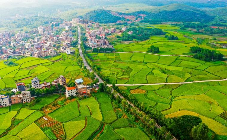 新田富硒之乡(新田富硒产品在哪个村)-硒宝网