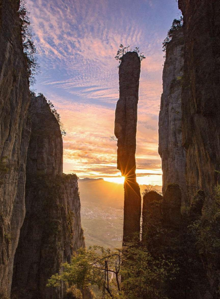 十株茶恩施硒茶(恩施硒茶是绿茶吗)-硒宝网