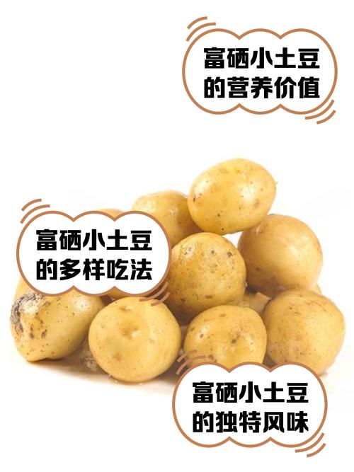 富硒土豆价格（富硒土豆多少钱一斤）-硒宝网
