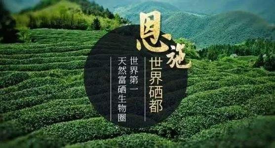 恩施富硒含量(恩施富硒含量多的是什么地方)-硒宝网