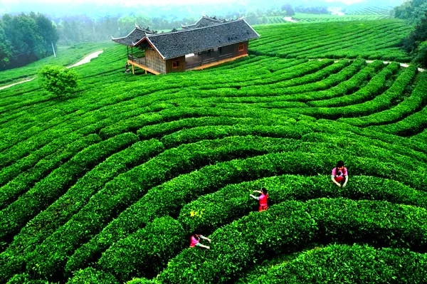 恩施富硒含量(恩施富硒含量多的是什么地方)-硒宝网