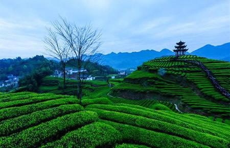 恩施富硒含量(恩施富硒含量多的是什么地方)-硒宝网