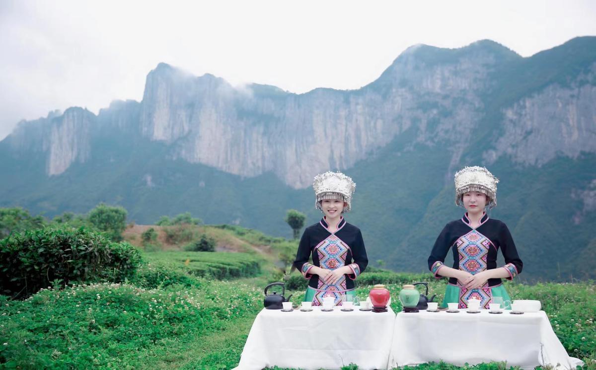 十株茶恩施硒茶（恩施硒茶是绿茶吗）-硒宝网