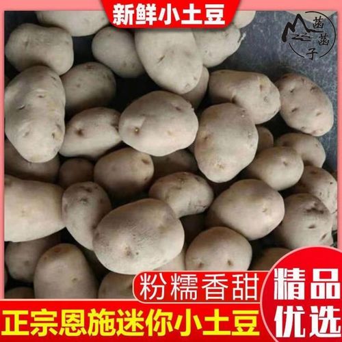 富硒土豆价格(富硒土豆产地)-硒宝网