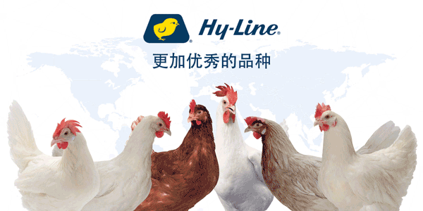 正大富硒鸡蛋是真的吗（正大富硒鲜鸡蛋价格）-硒宝网