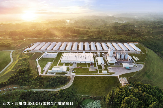 正大富硒鸡蛋是真的吗（正大富硒鲜鸡蛋价格）-硒宝网