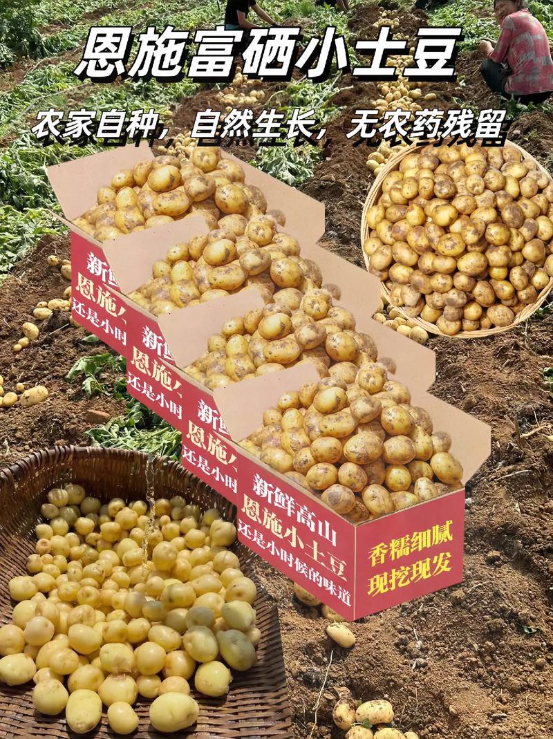 富硒土豆价格（土豆价格富硒多少）-硒宝网