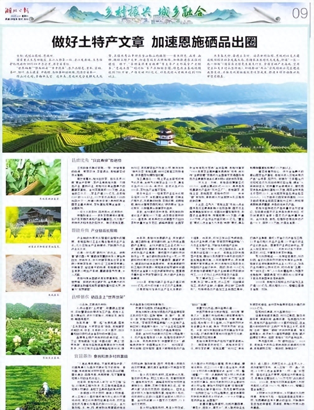 湖北恩施的硒怎么样（湖北恩施硒骗局）-硒宝网