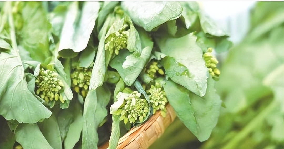 湖北恩施的硒怎么样（湖北恩施硒骗局）-硒宝网