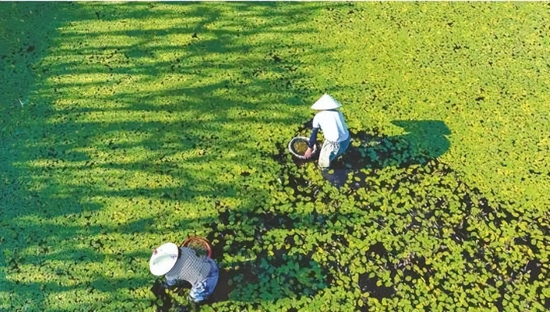 湖北恩施的硒怎么样（湖北恩施硒骗局）-硒宝网