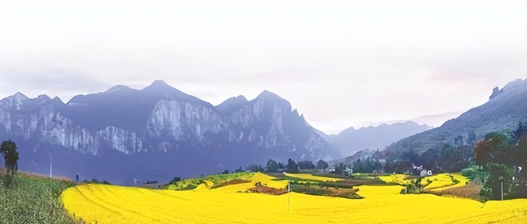 湖北恩施的硒怎么样（湖北恩施硒骗局）-硒宝网